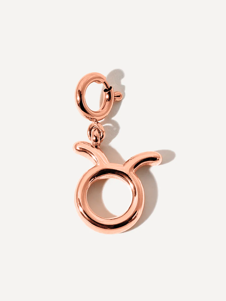 Classic Zodiac Ketten-Charms - Image 10