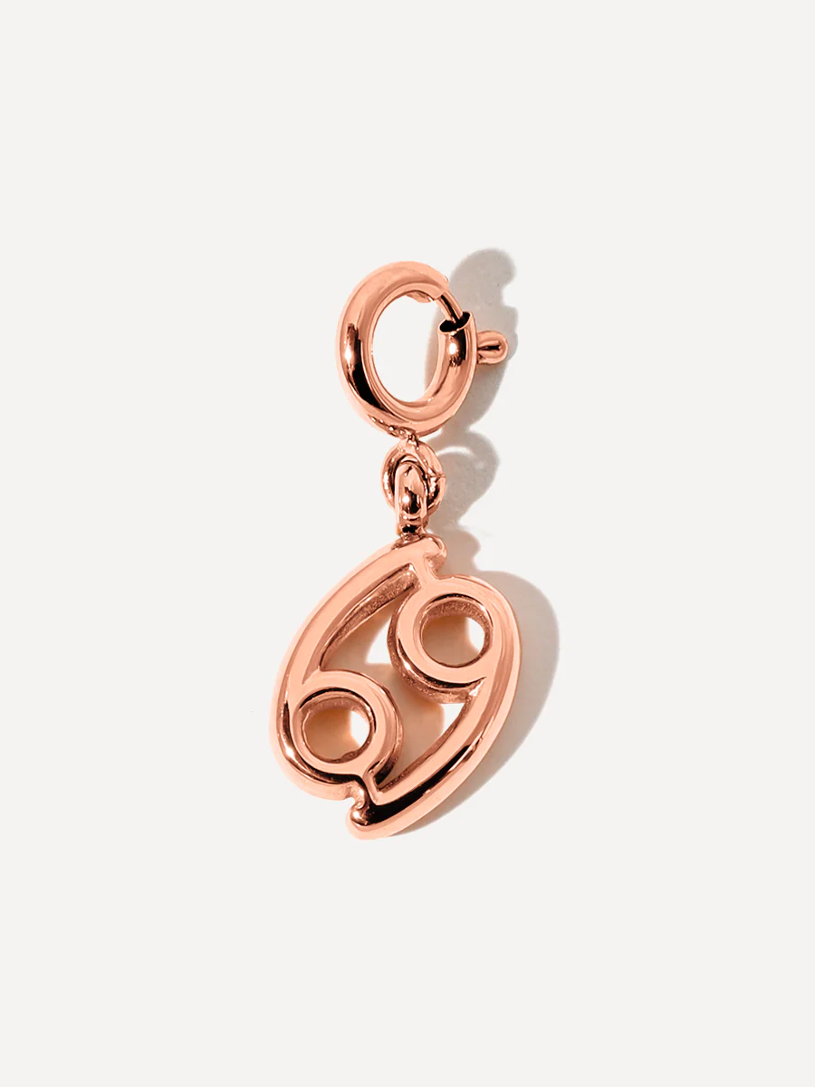 Classic Zodiac Ketten-Charms - Image 16