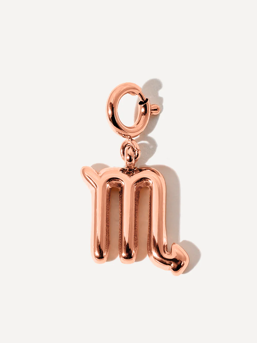 Classic Zodiac Ketten-Charm - Scorpio - Image 9