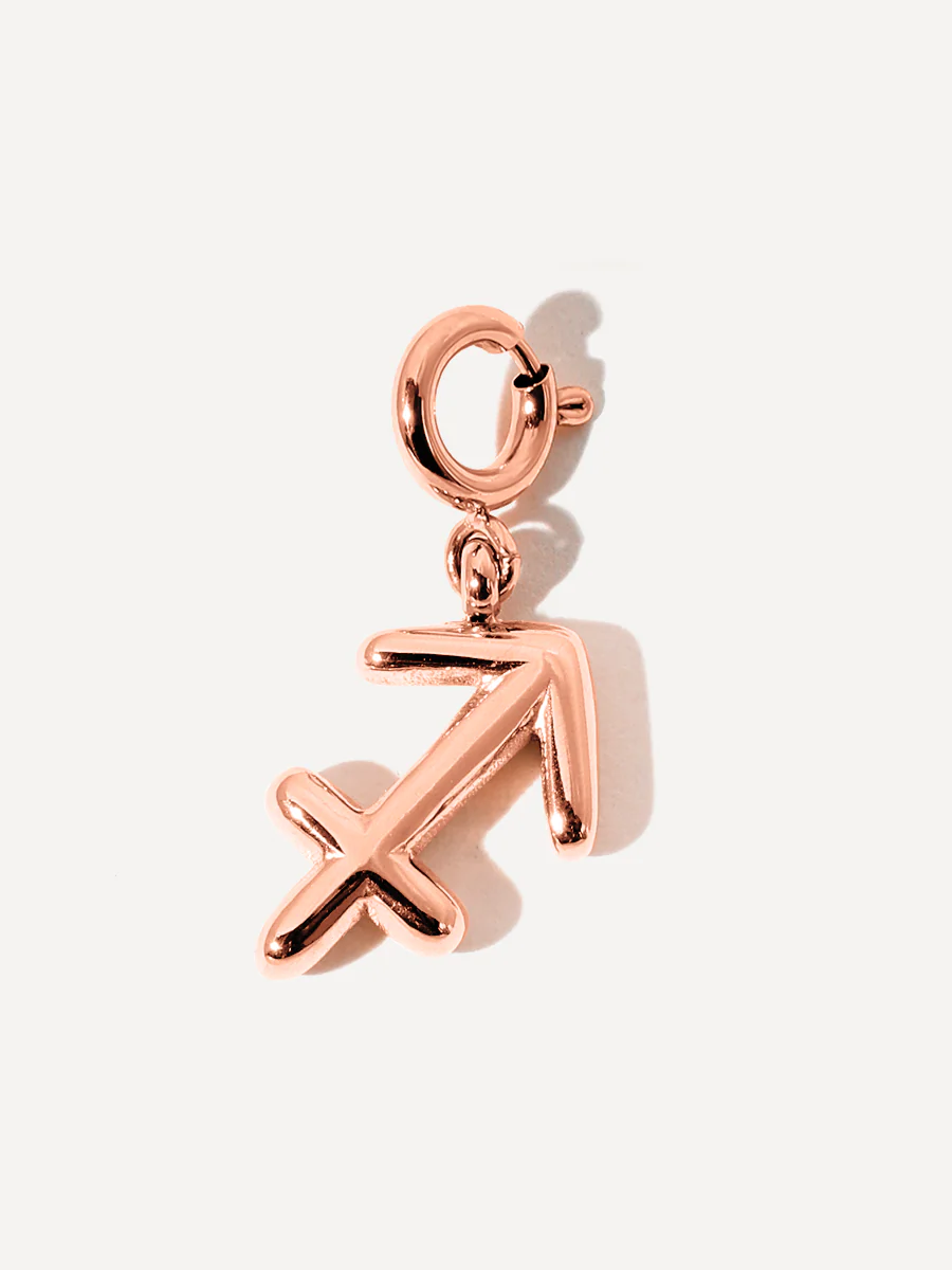 Classic Zodiac Ketten-Charms - Image 31
