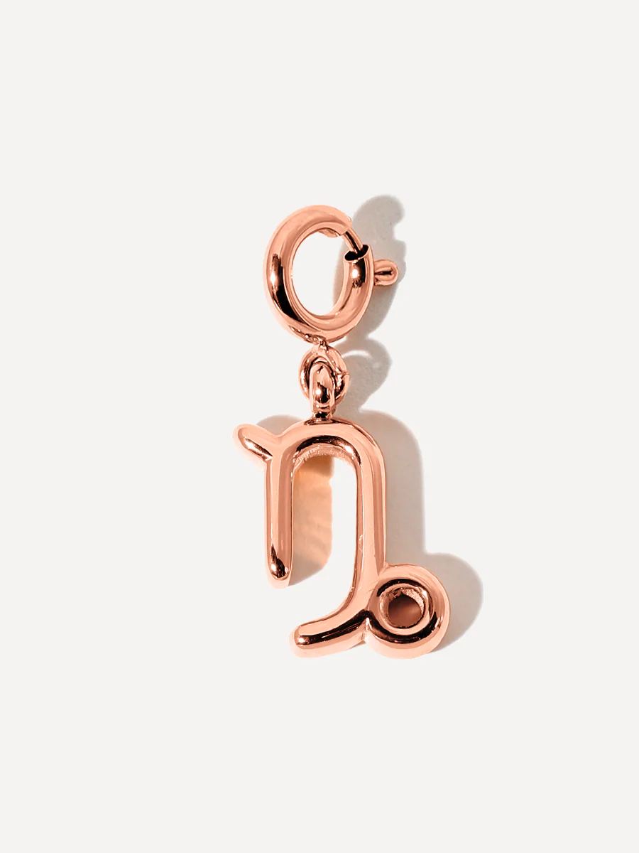 Classic Zodiac Ketten-Charms - Image 34