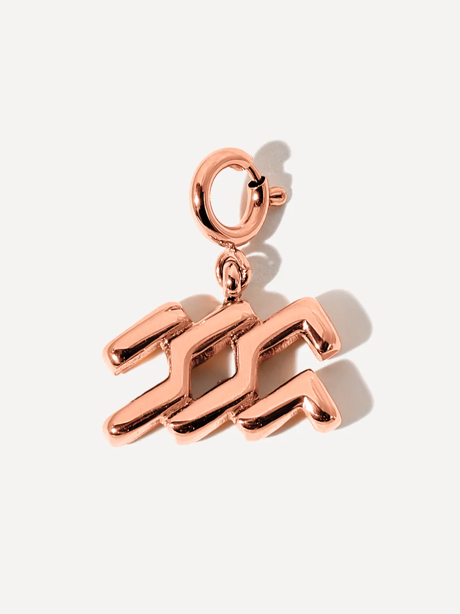 Classic Zodiac Ketten-Charms - Image 37