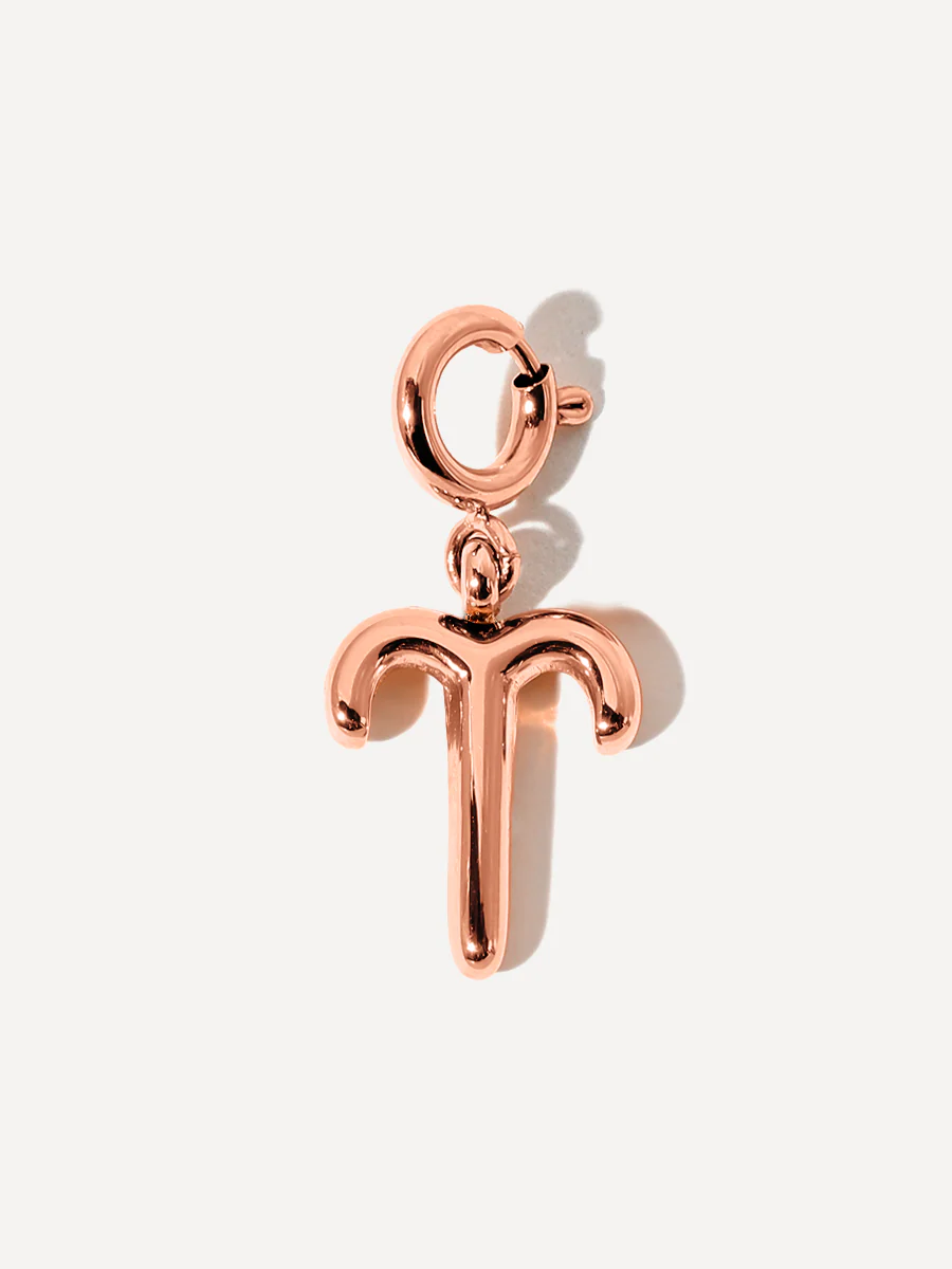 Classic Zodiac Ketten-Charms - Image 7