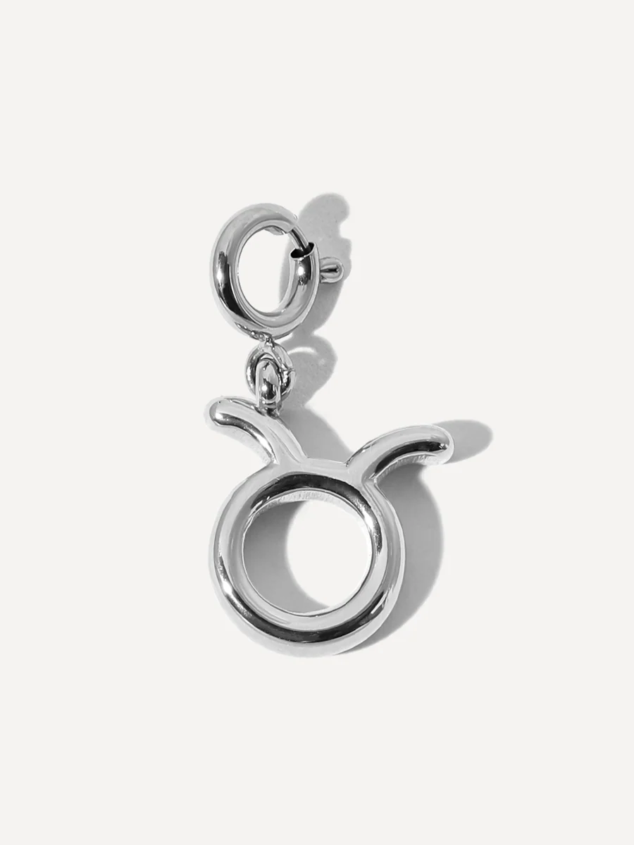 Classic Zodiac Ketten-Charms - Image 9