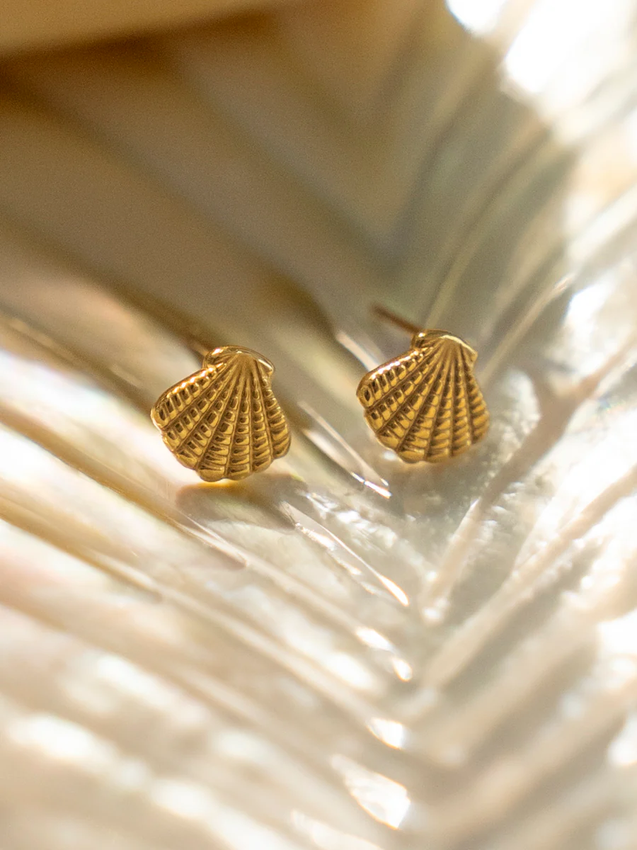 Exquisite Shell Ohrringe - Image 4