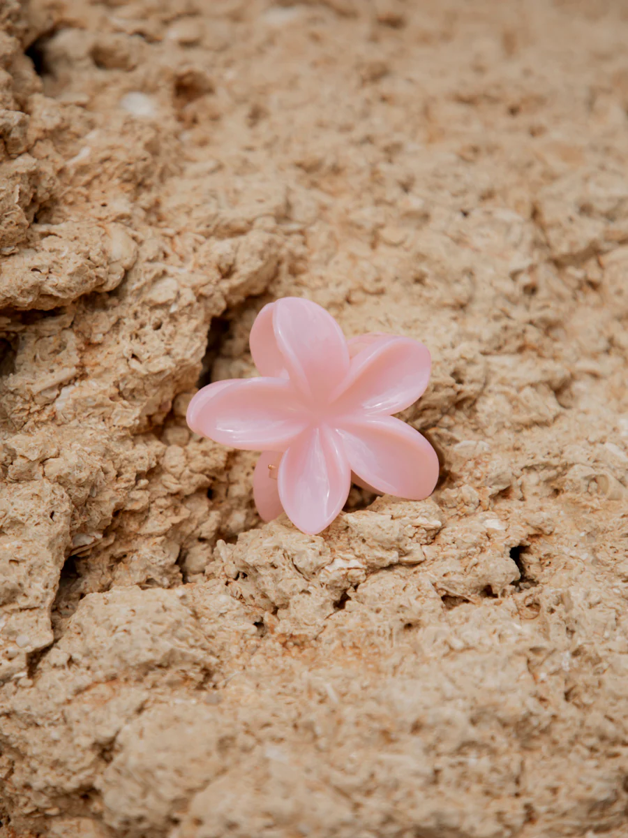Floral Bliss Haarklammer Cream Pink - Image 3