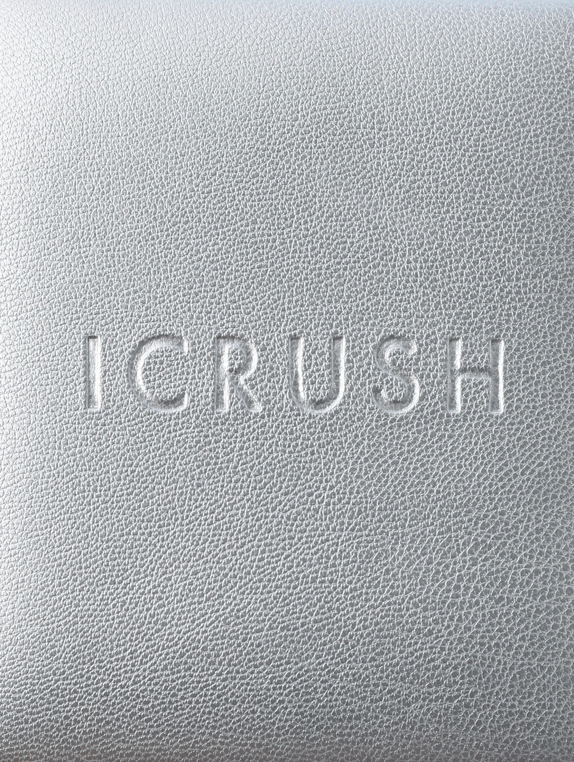 ICRUSH Travel Case Silver - Image 4