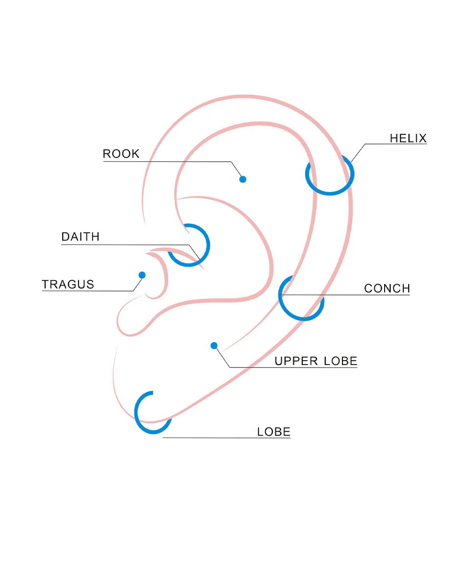 Muse Hoop Titan Piercing - Image 6