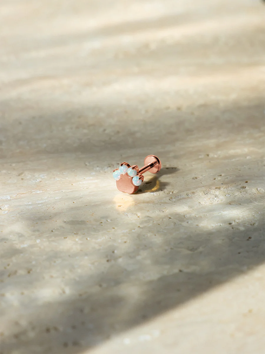 Paw Glow Titan Piercing - Image 3
