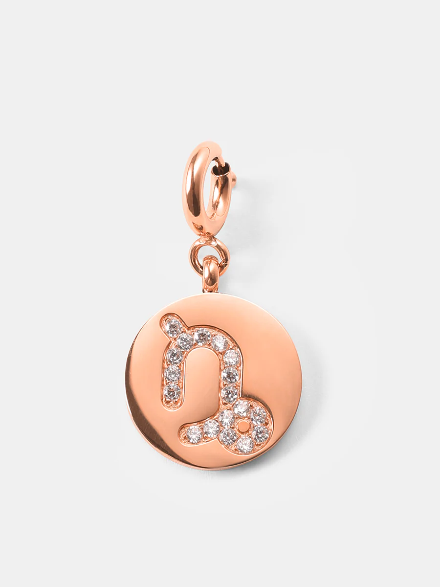 Twinkling Zodiac Ketten-Charm - Capricorn - Image 8