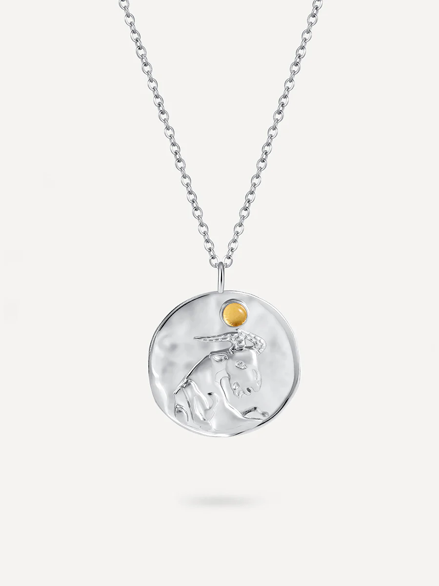 Zodiac Kette - Steinbock - Image 10